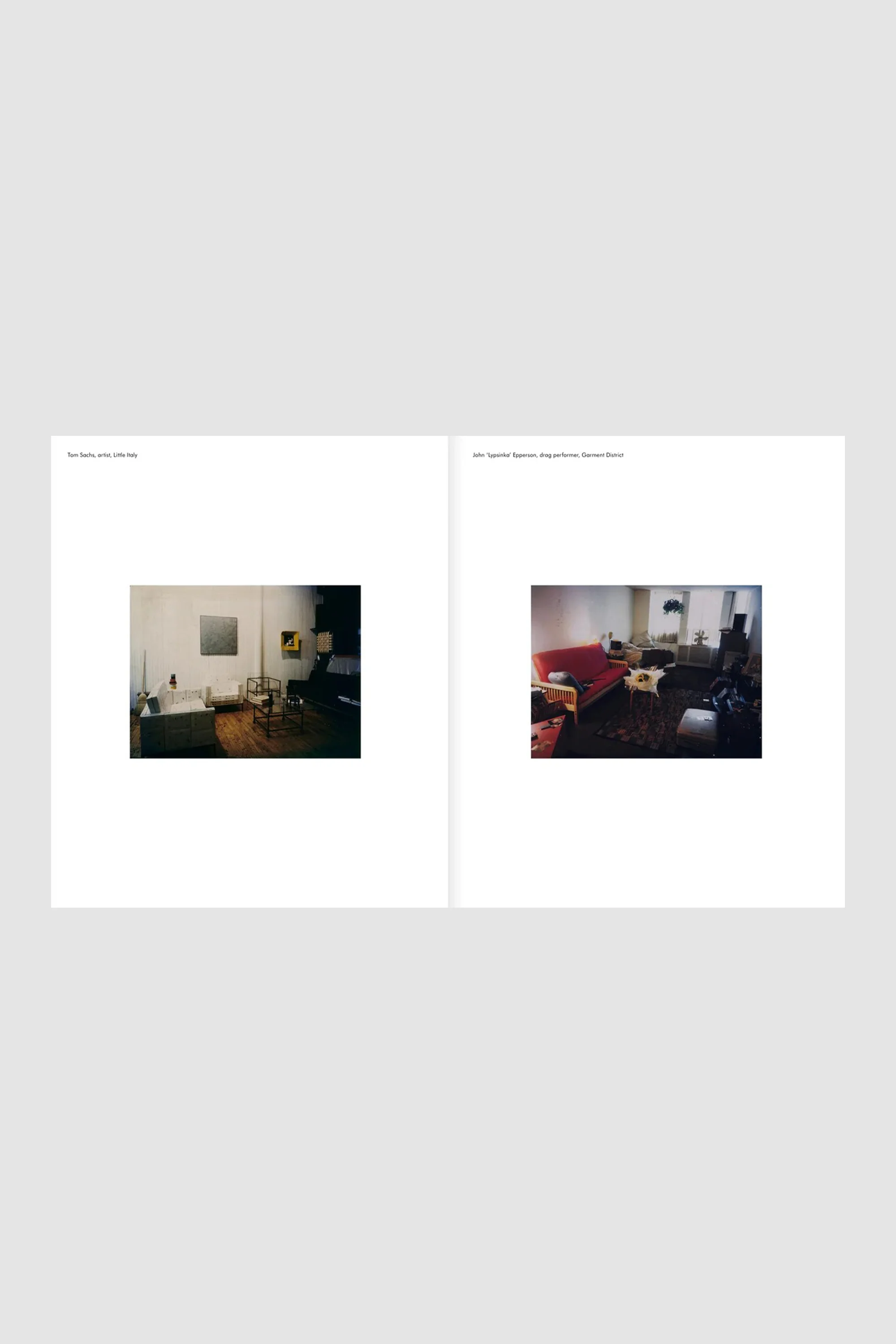 New York Living Rooms - Dominique Nabokov - Image 3
