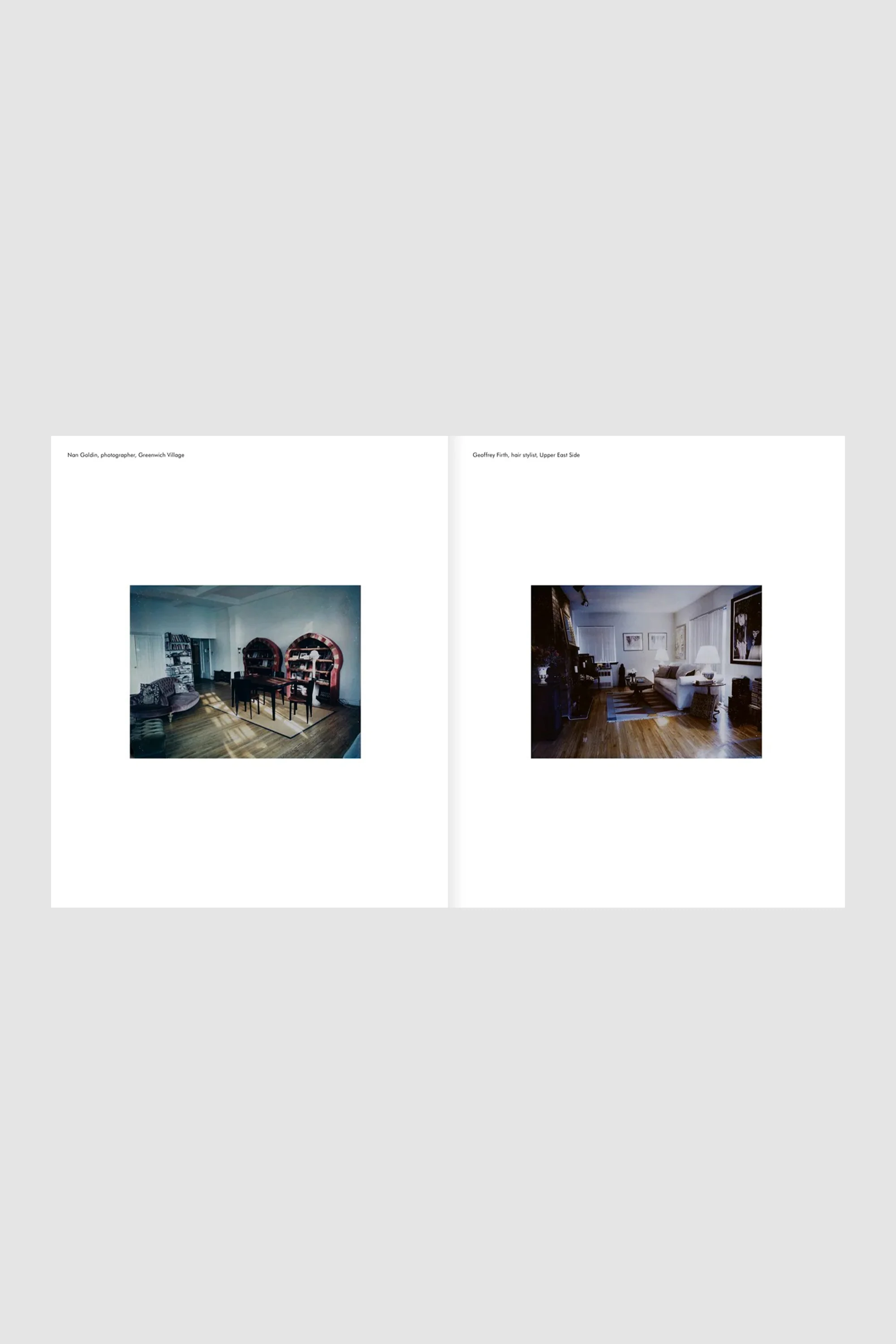 New York Living Rooms - Dominique Nabokov - Image 4