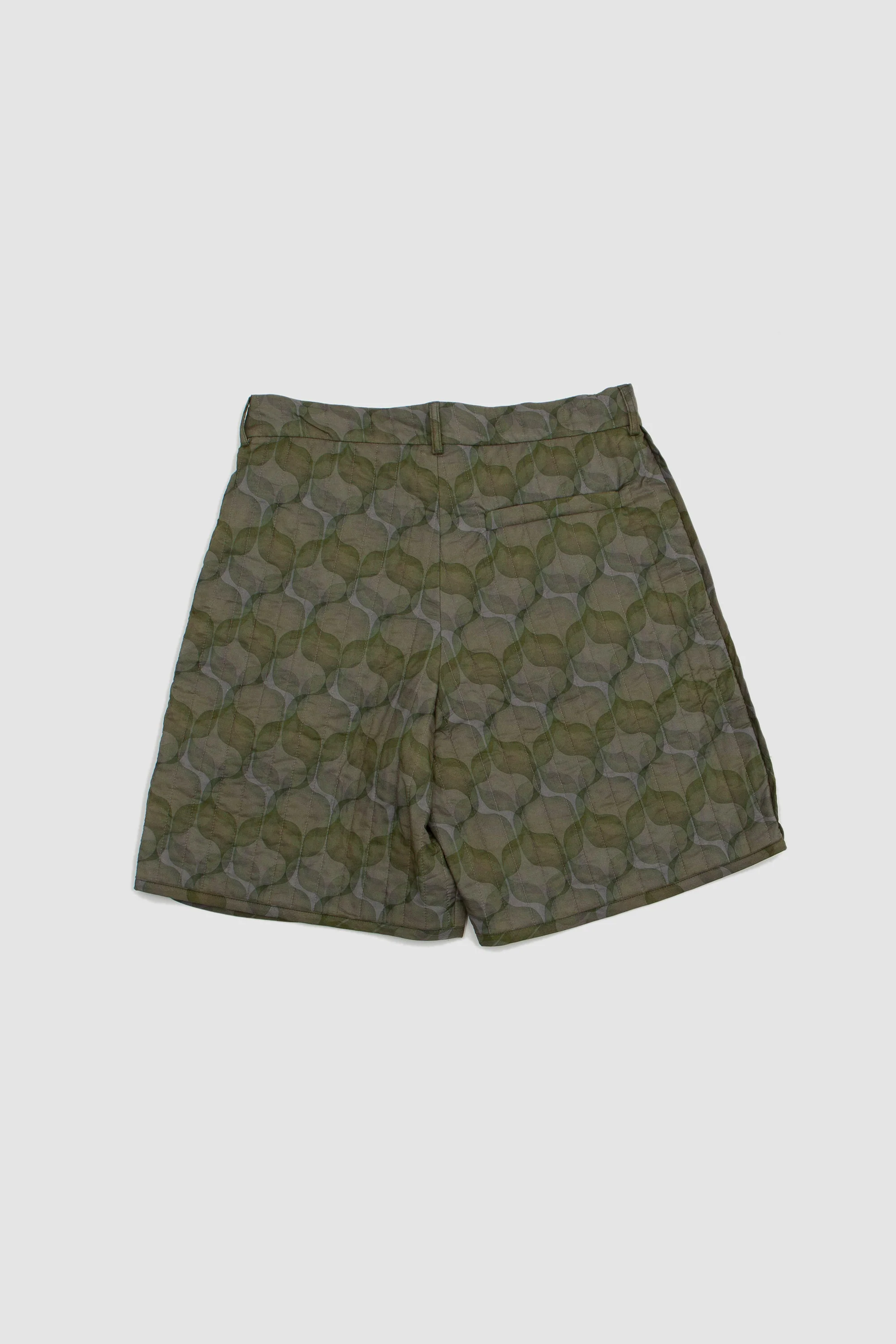 Pinlow Short Green - Image 5